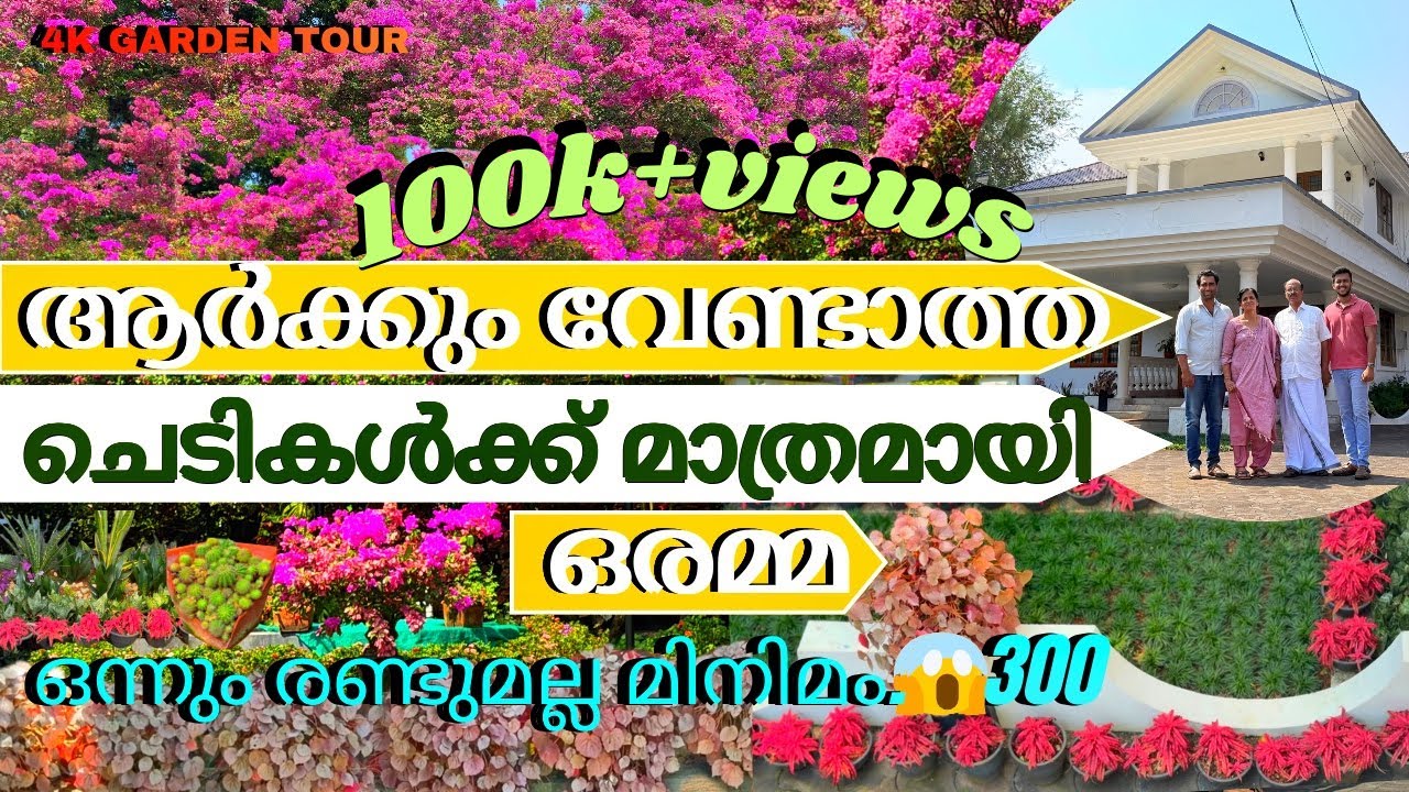 എന്റെ ഗാർഡൻ അത്ര പോരാ എന്ന് അമ്മ...കാണുന്നവർ തീരുമാനിക്കട്ടെ എന്ന് ഗ്രീൻ ഹെവൻ🤗🍃🥰🍃ഒരു മാതൃകാ കുടുംബം