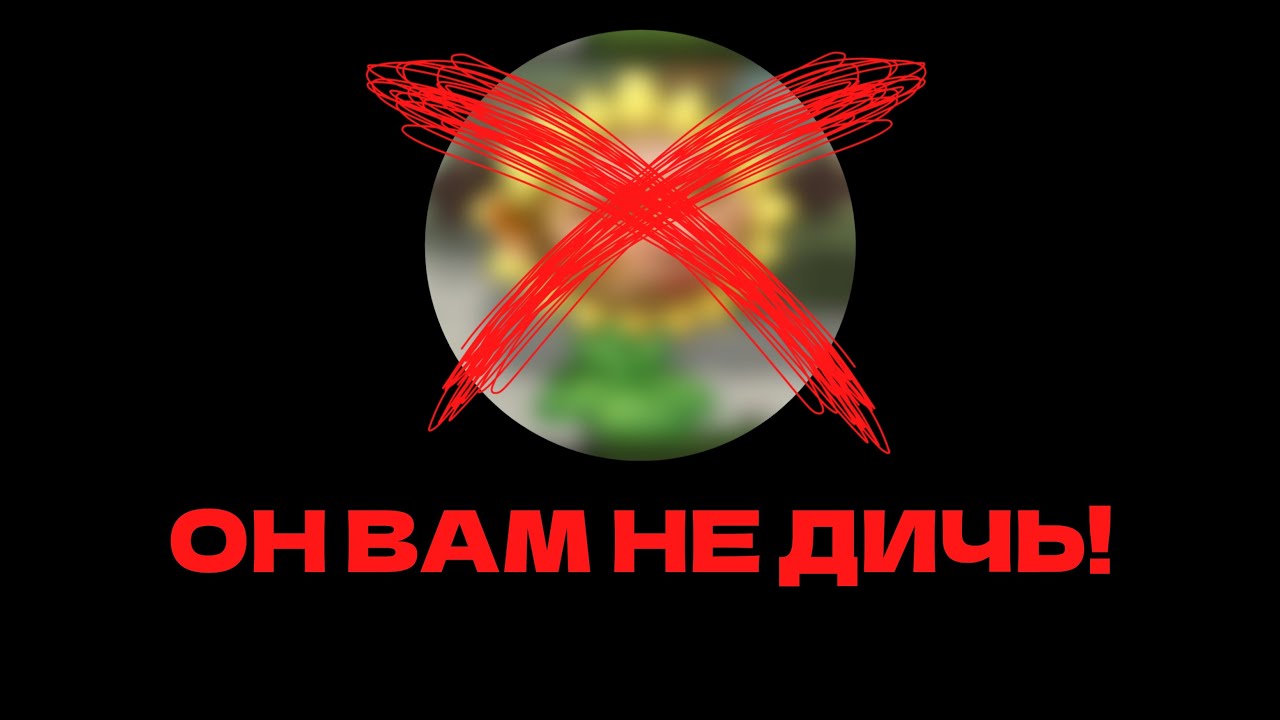 ПВЗ ДИЧЬ — ОБМАНЩИК И ЛИЦЕМЕР | РАЗОБЛАЧЕНИЕ ​⁨@pvz_dich⁩