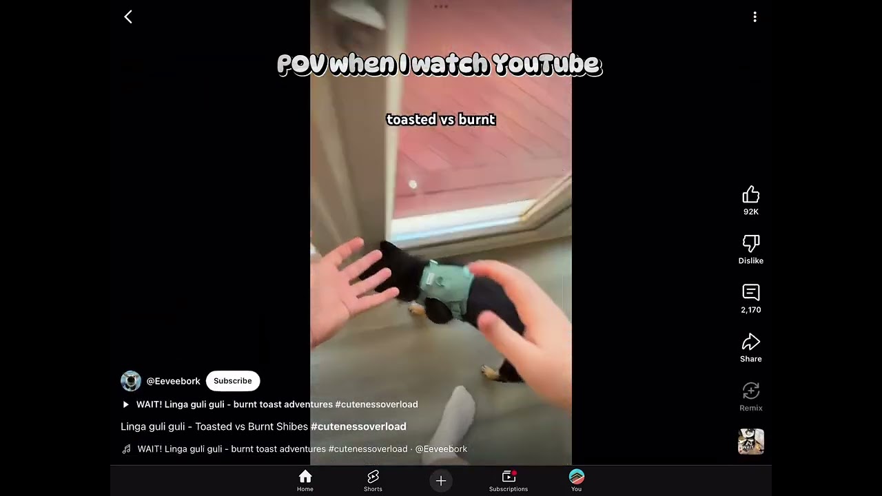 YouTube right now. Credits to eve Bork
