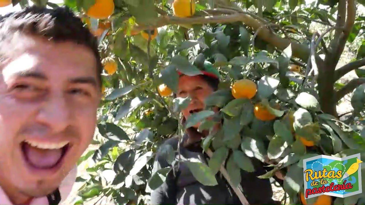 keke de mandarina