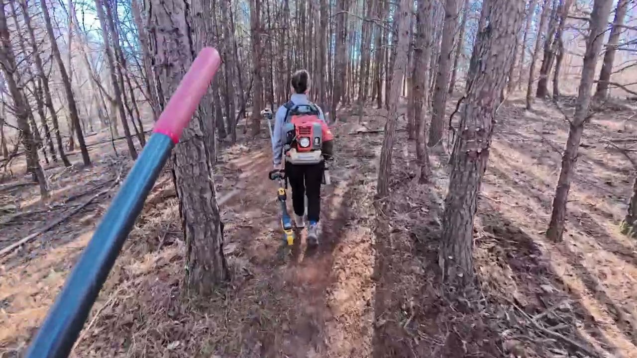 VS Trail Building not in 8k