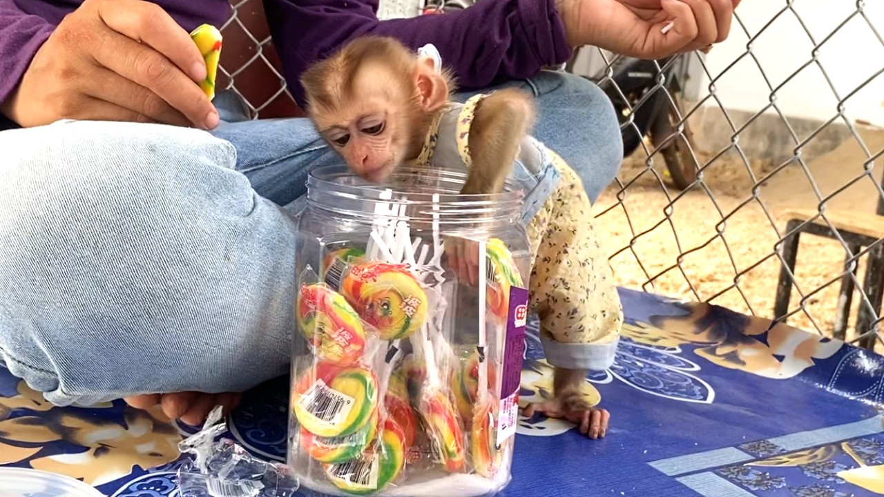 So Fun !! The Adorable Baby LIORA Tried To Pick Up The Rainbow Cake From The Can
