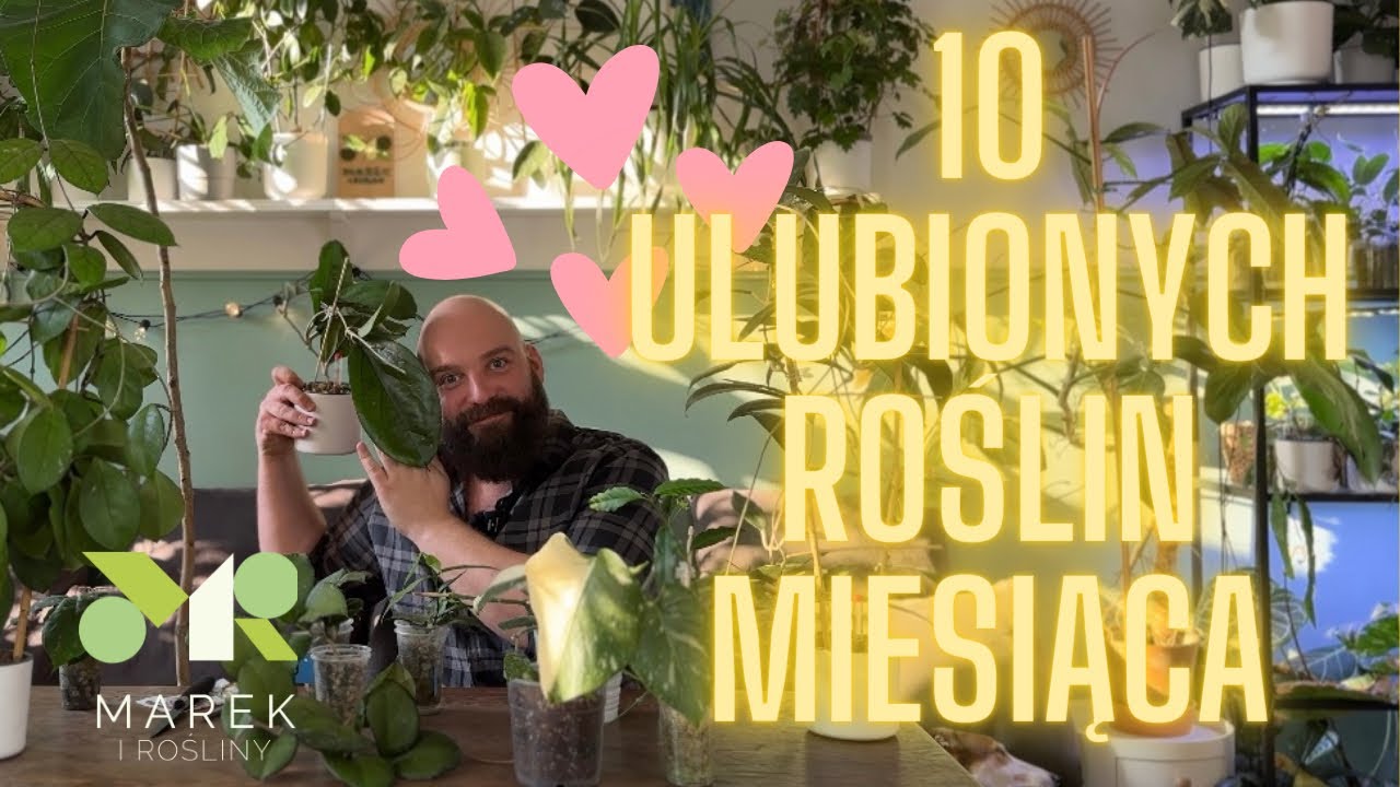 10 ulubionych roślin miesiąca. Z powodu tych roślin cieszę się w tym miesiącu najbardziej.