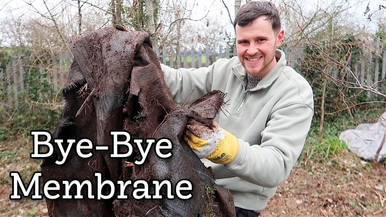 The Most Annoying Allotment Job: Removing the Previous Owner’s Membrane