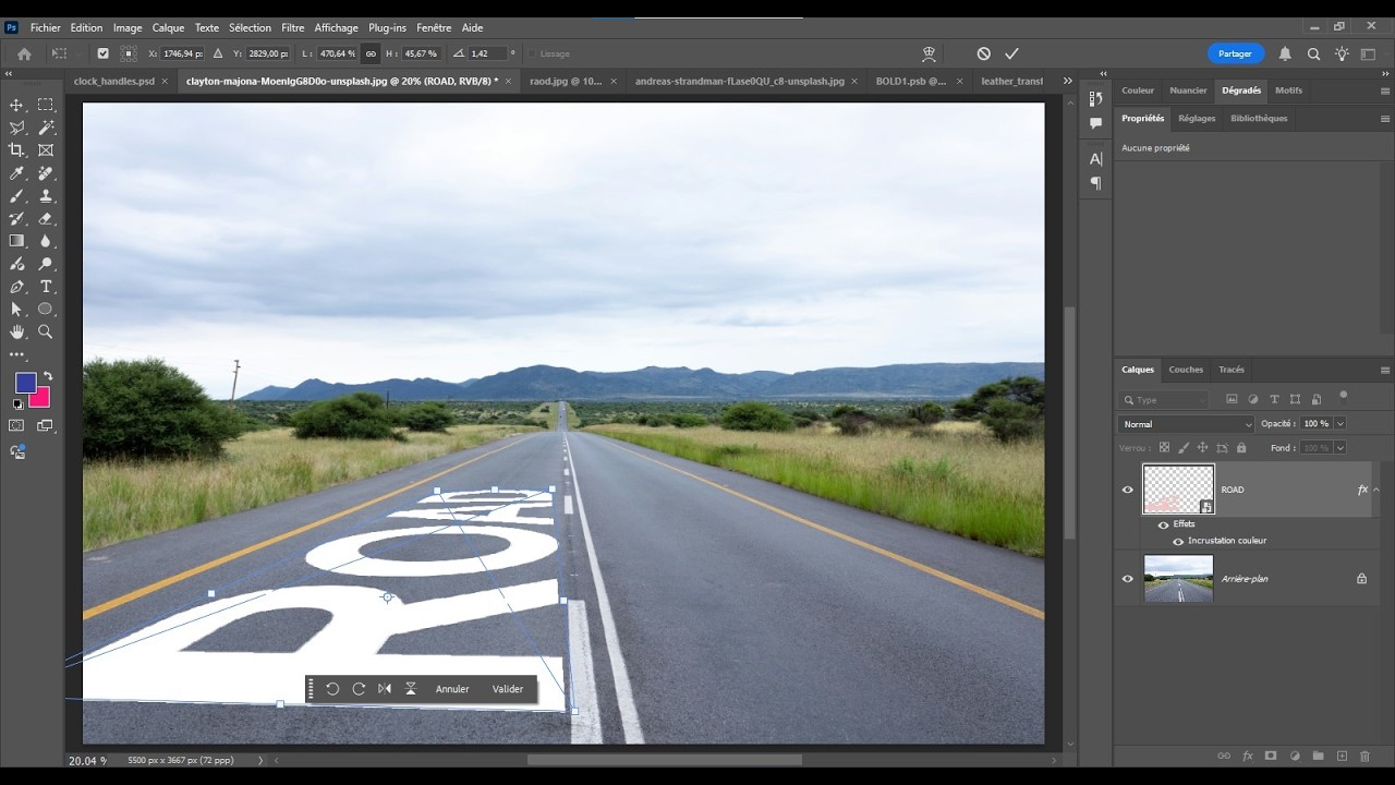 Techniques de transformation dans Photoshop
