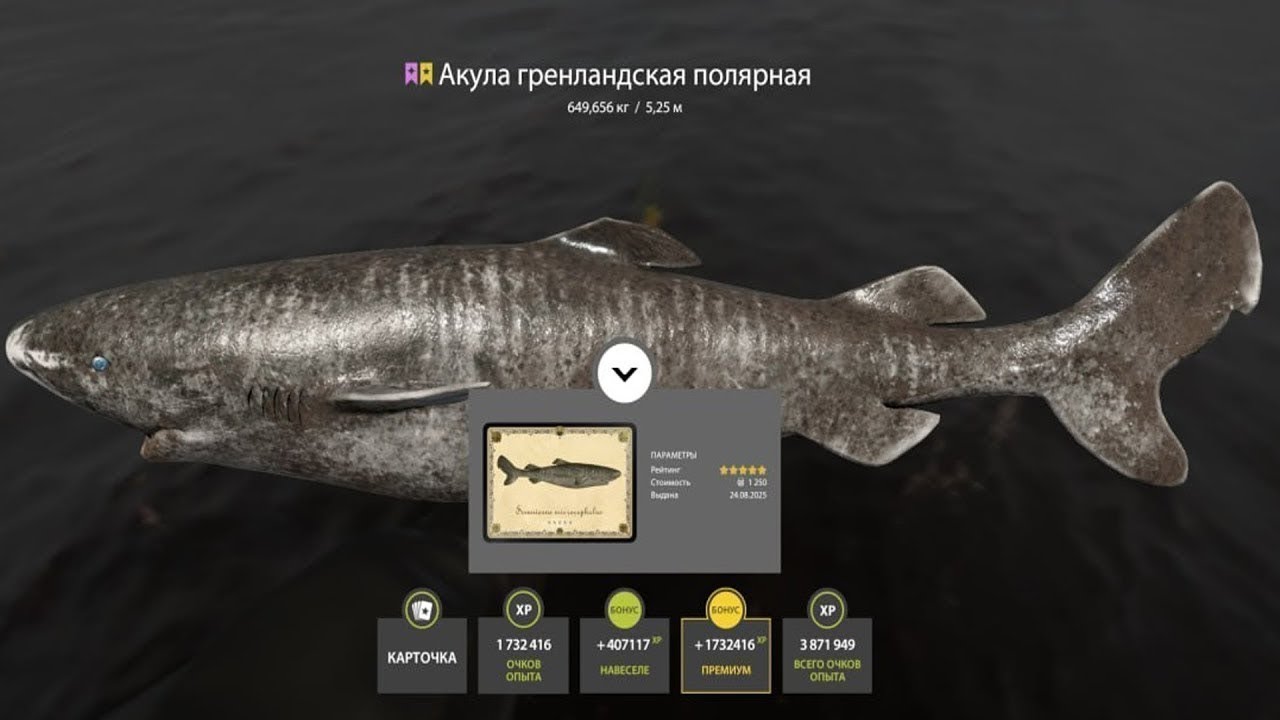 📢СТРИМ РР4🔥МОРСКИЕ ПРИКЛЮЧЕНИЯ ПРОДОЛЖАЮТСЯ🔥РУССКАЯ РЫБАЛКА 4