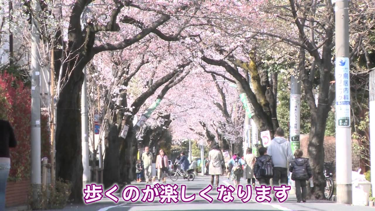 東京高級住宅街ライブラリー【世田谷区成城】～東京散歩～