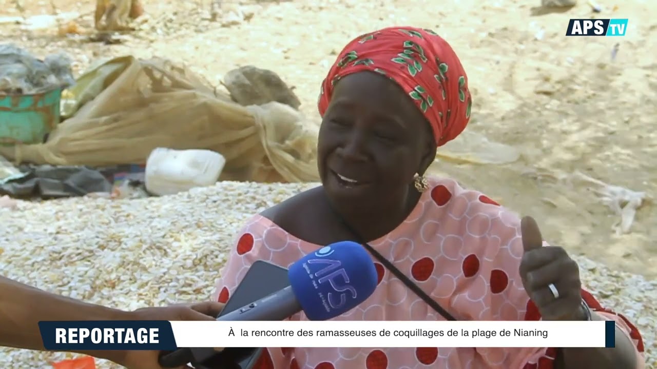 REPORTAGE : à la rencontre des ramasseuses de coquillages de la plage de Nianing