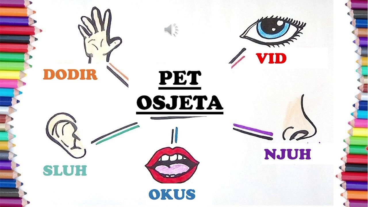 Studentska sekcija za neuroznanost -Predavanje za osnovno-&scaron;kolsku populaciju