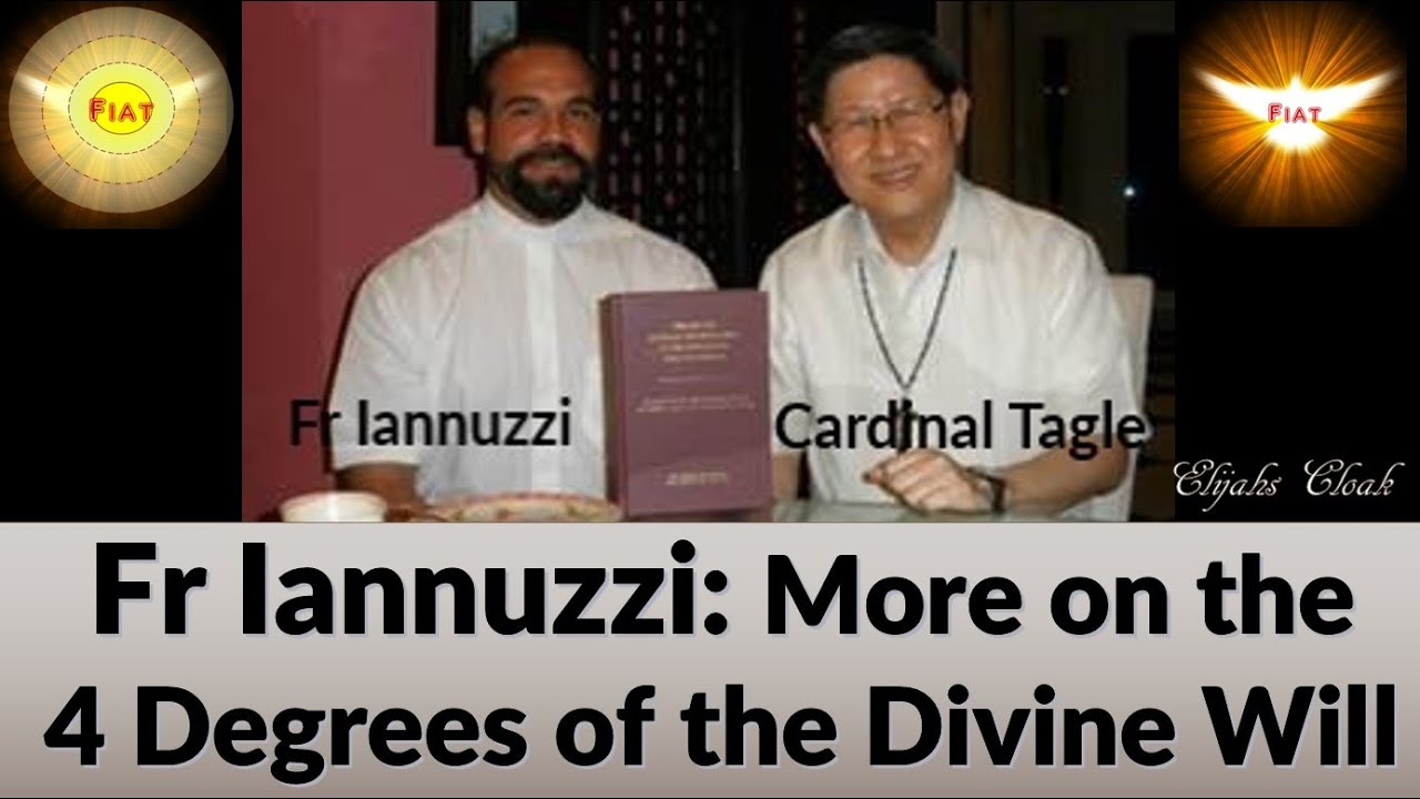 Fr Iannuzzi: More on the 4 Degrees of the Divine Will (a short discussion)