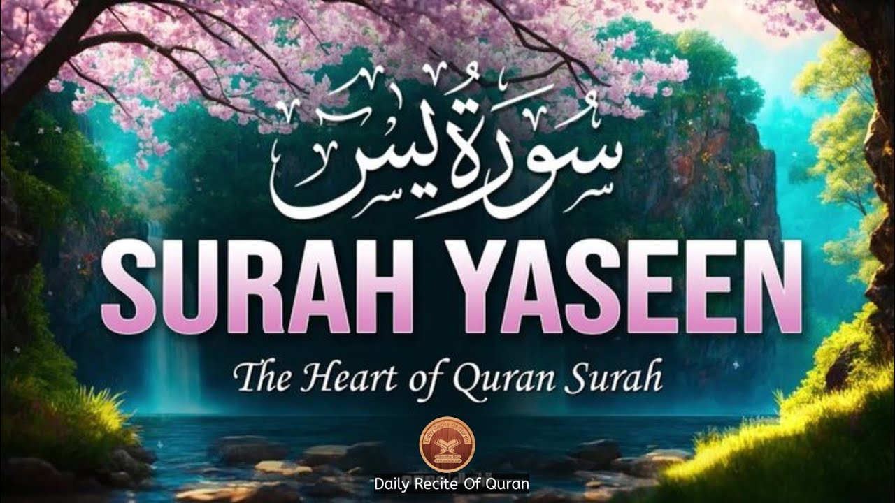 Surah Yaseen سورۃ یس | Most Beautiful Recitation Of Surah Yaseen Daily Recite Of Quran