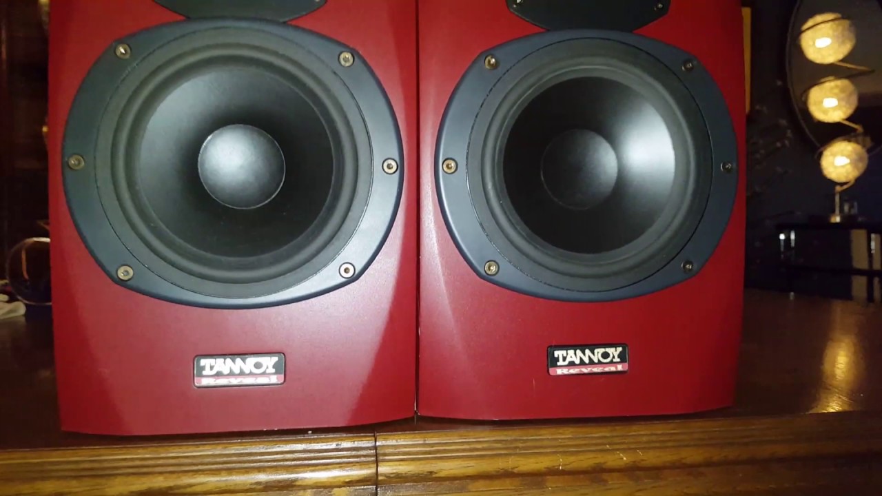 Speaker tannoy reveal test peak 100 watts RMS studio monitor vintage audio crazy eugene