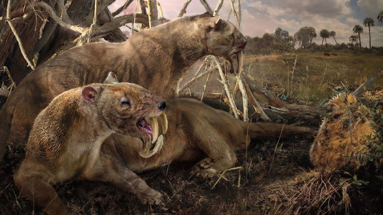 Sparassodonta — бывшие хищники Южной Америки