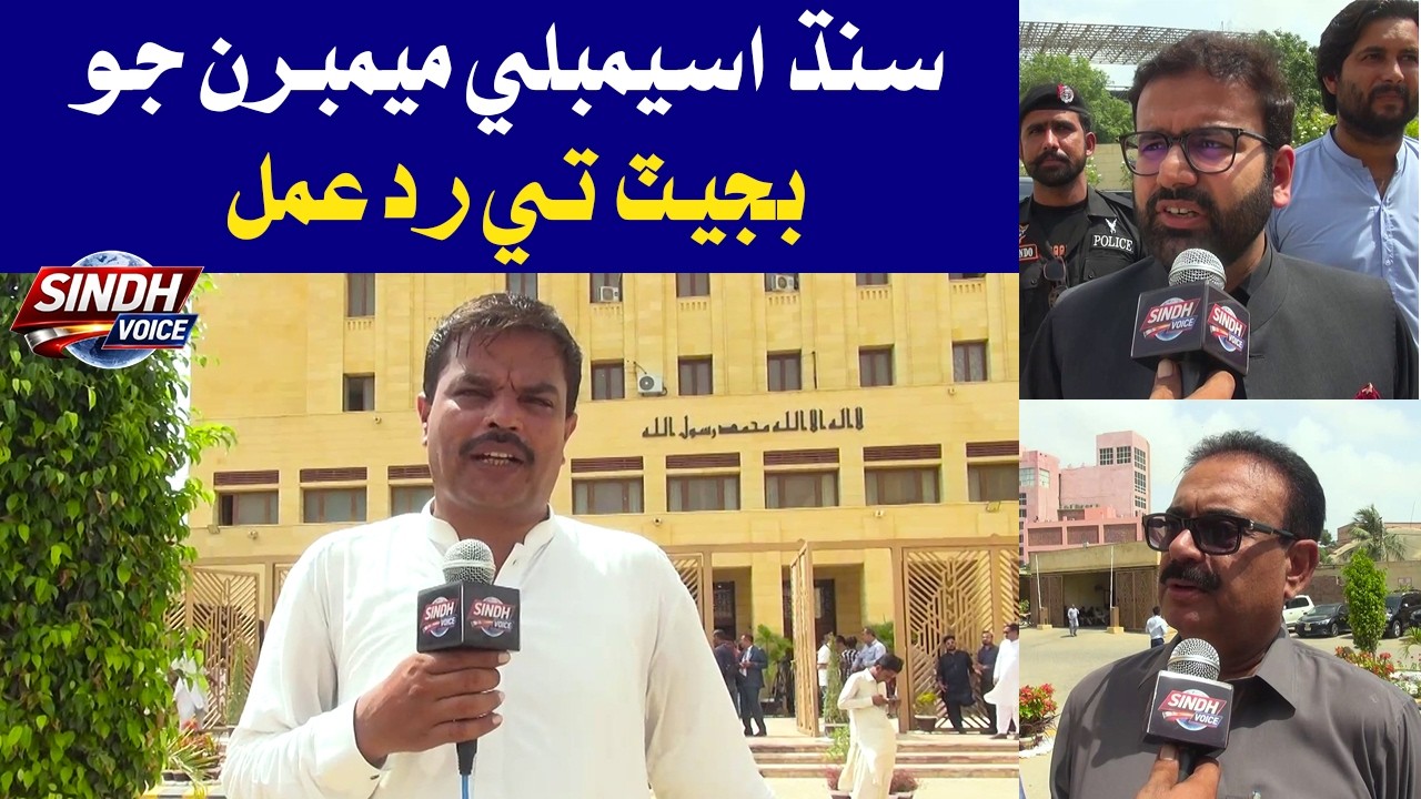 Sindh Assembly Members | Strong Reactions to Sindh Budget