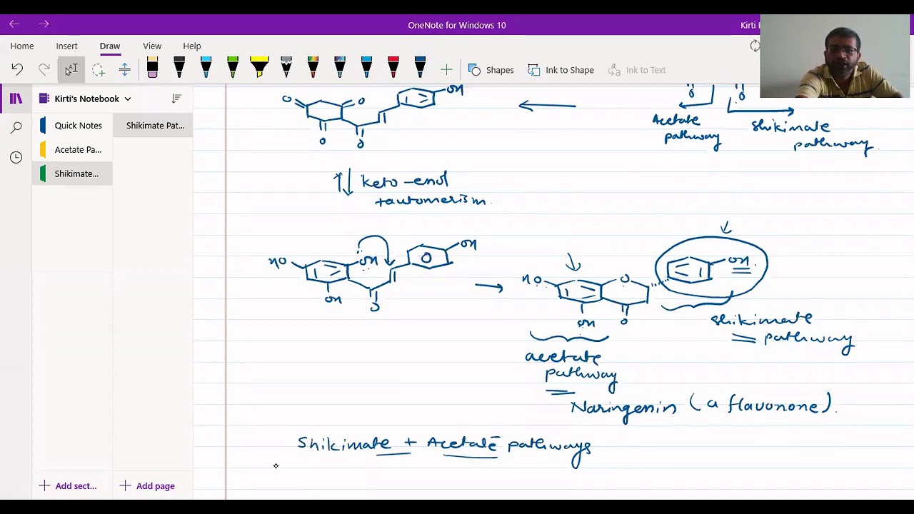 Flavonoids And Isoflavonoids - Biosynthesis || Kirti Patel