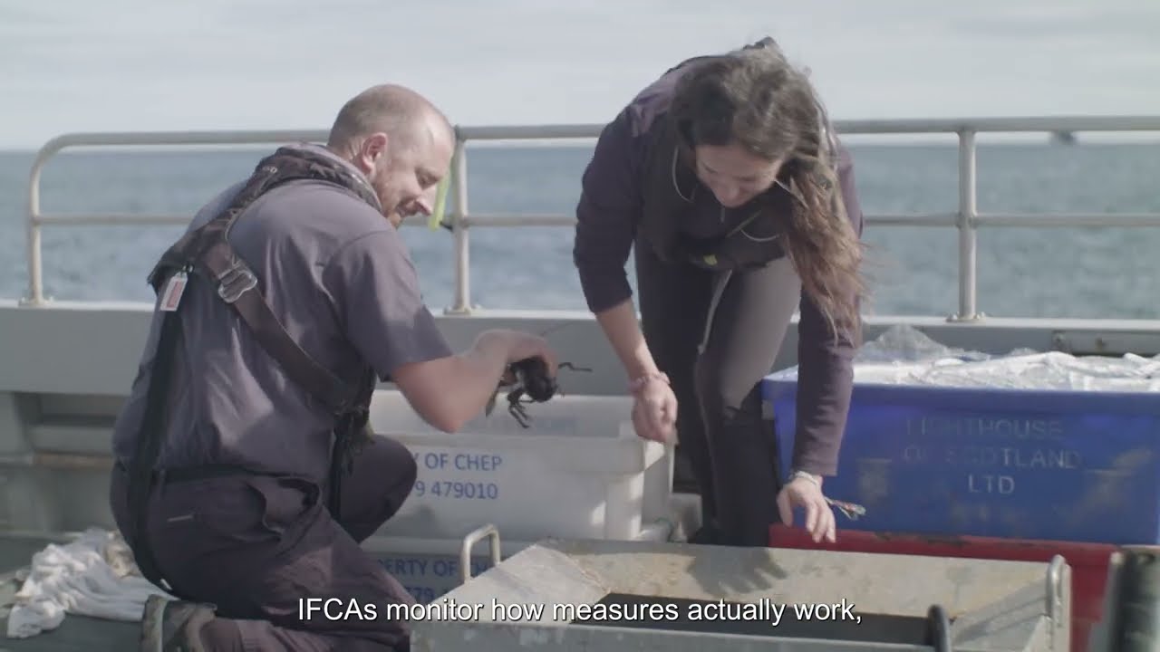 CONSERVE: How IFCAs Protect England's Inshore Marine Protected Areas (MPAs)