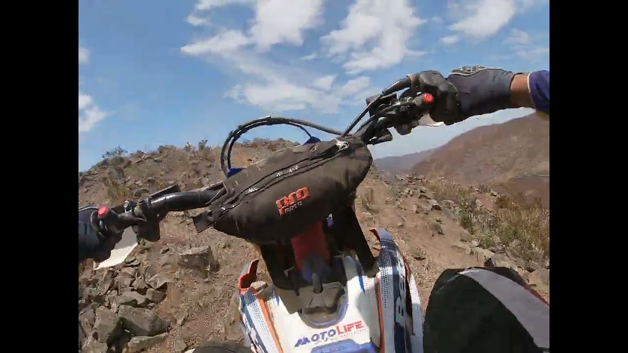 SBX BETA FOX REGRESO CON DGL Y MB