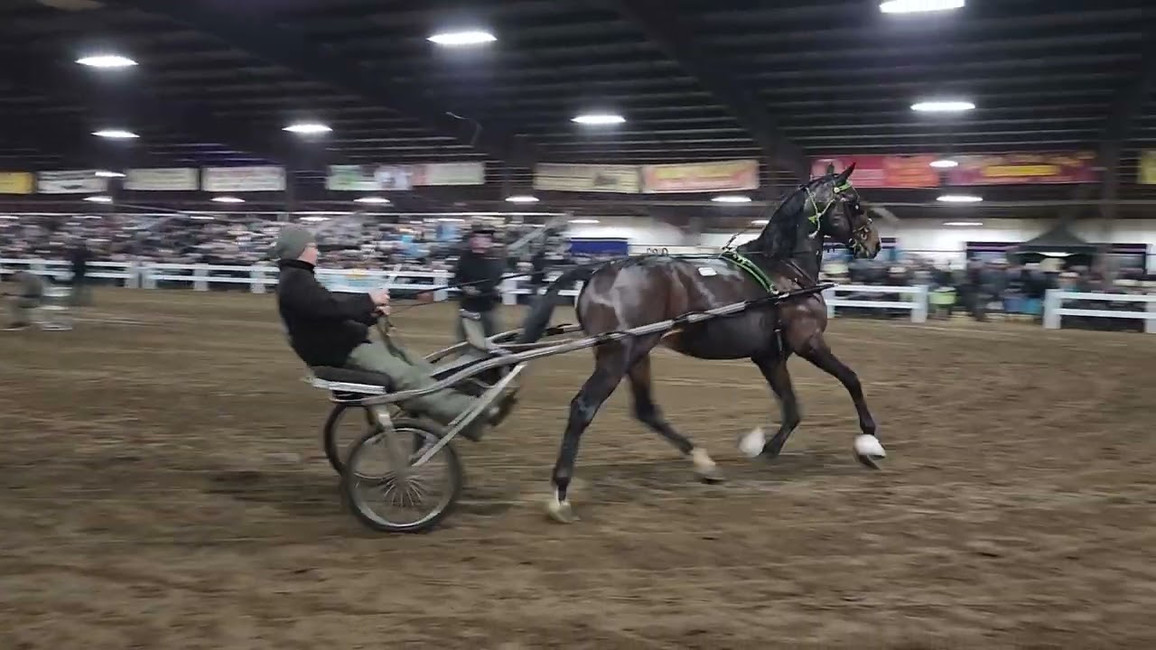 Legion of Honor.  $130,000