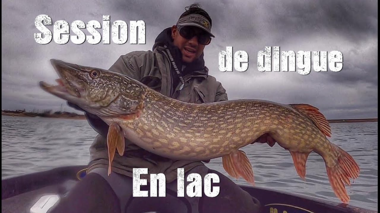 Pêche gros brochets: Session de dingue en lac