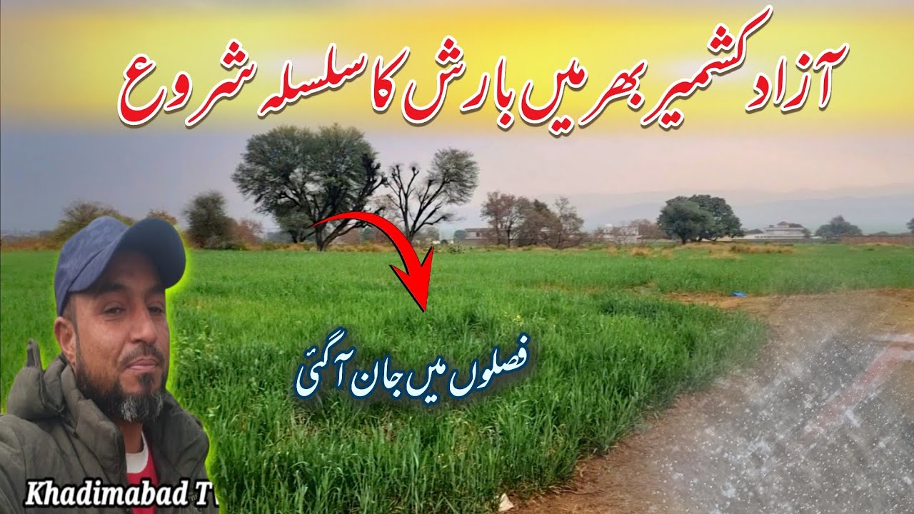 Heavy Rain in My City Khadimabad Dadyal Azad kashmir | Beautiful area view  after rain |