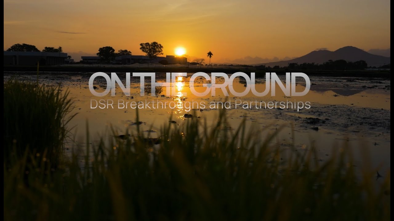 On the Ground: DSR Breakthroughs and Partnerships