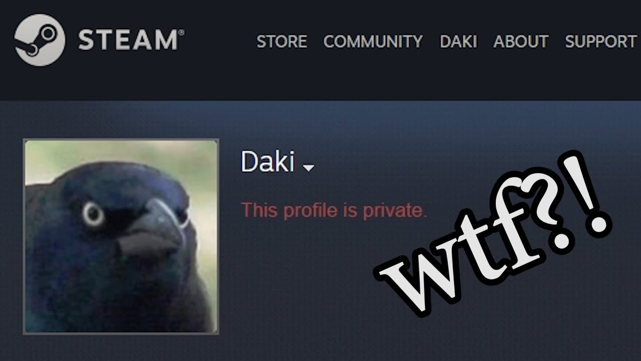 LAŽNI DAKI? - CS:GO Scammer Troll