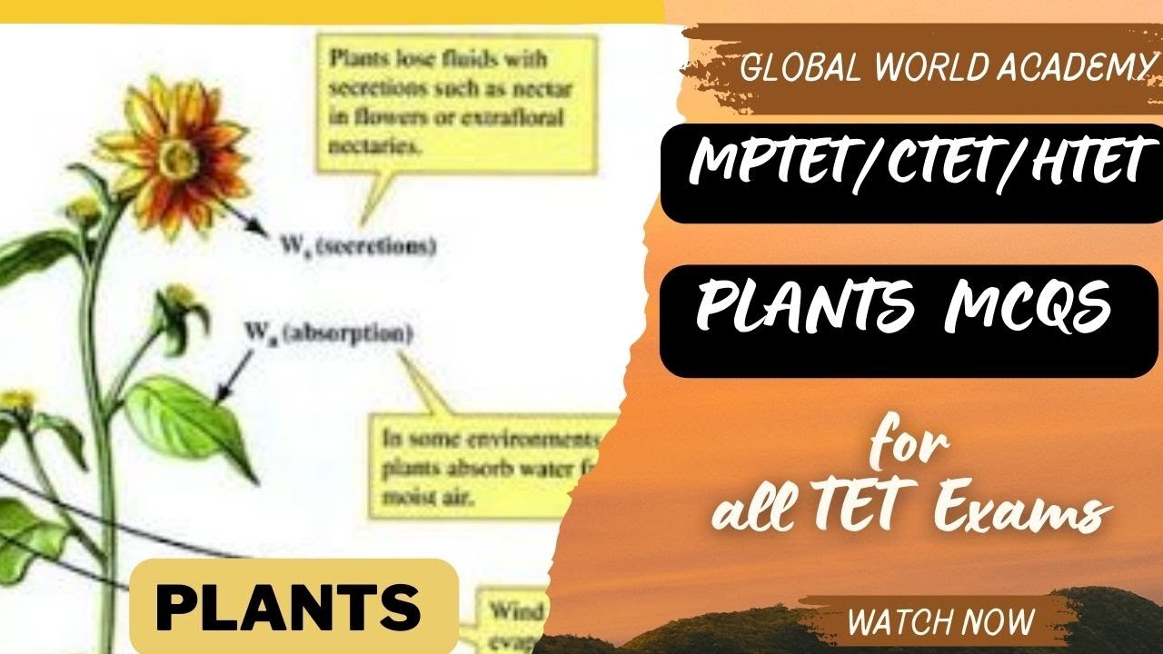 LIVE SCIENCE /EVS SESSION  / OLD  MCQS - ALL PYQS - HTET/CTET/MPTET 2024