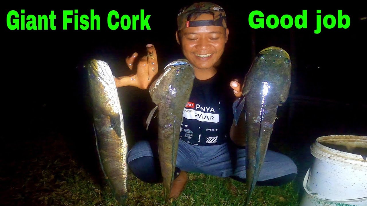 SKILL HUNTING AMAZING FISH CORK