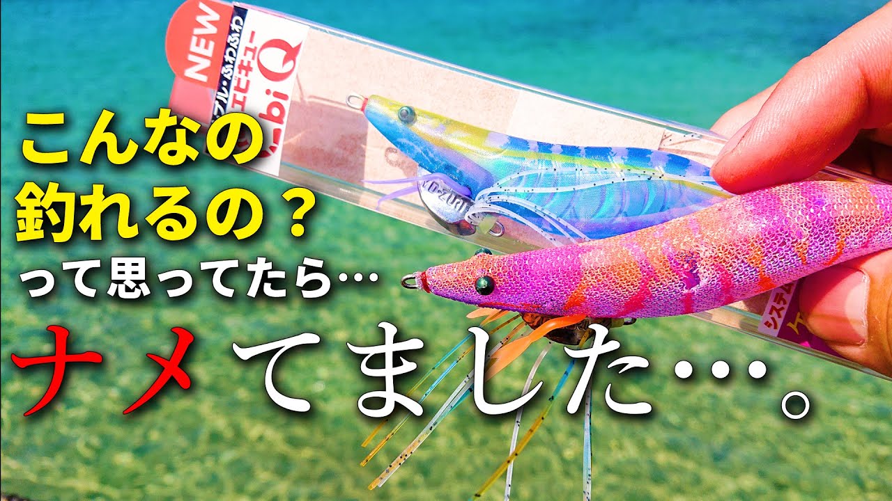 【水中映像】マジか⁉凄い見た目の新作エギを実際どうなのか使ってみたら、予想と違いすぎてビビりました。