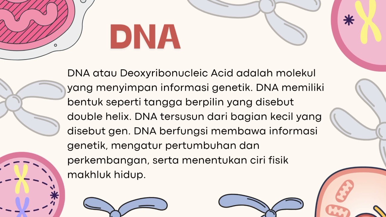TUGAS IPA KELAS 9 MATERI 
