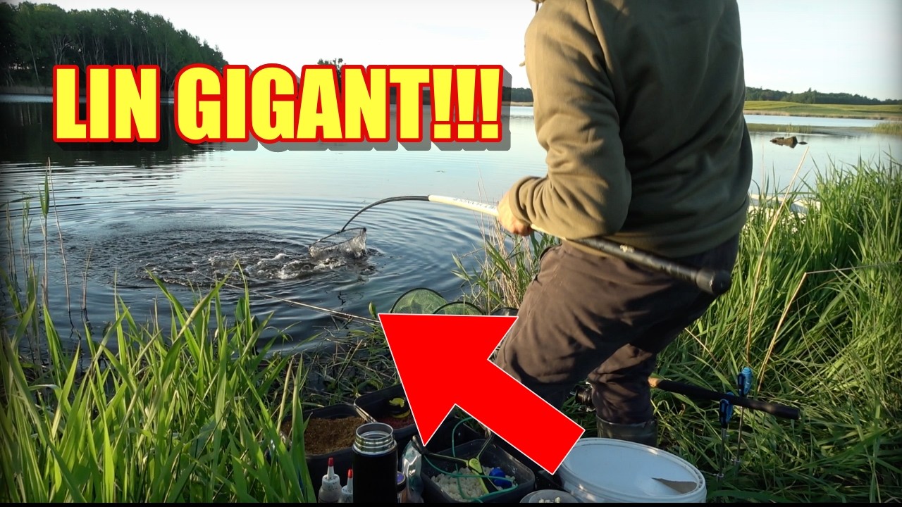 LIN GIGANT!!! NA MAKARON!!! W KOŃCU DUŻA RYBA!!!