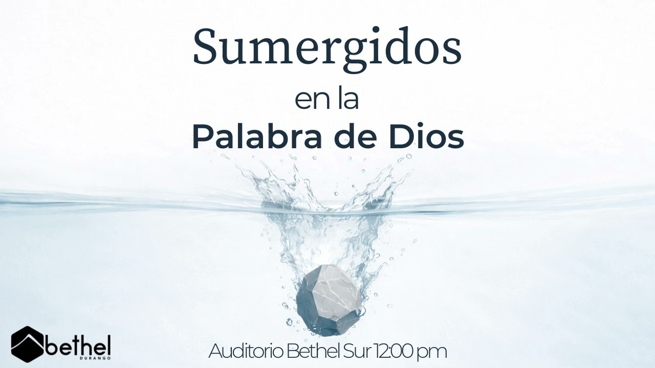 Sumergidos en la Palabra de Dios