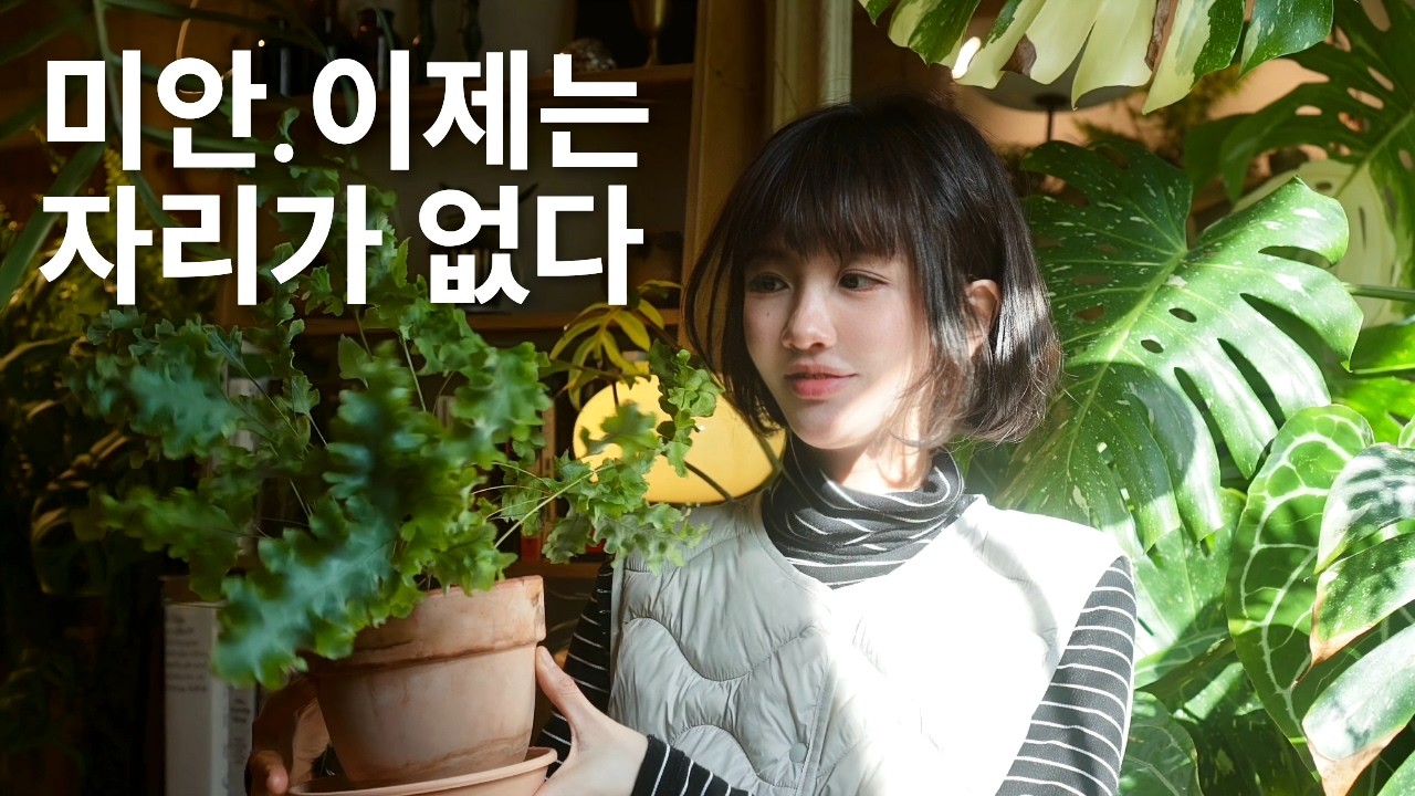 식물 170개, 줄이기 시작합니다 🥲 식물 정리 기준 | 당근 거래 🥕(feat. 내향인의 직거래 현장)