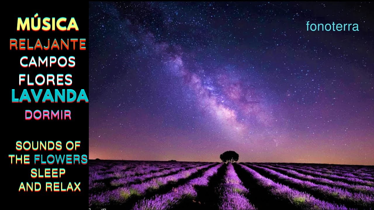 M&Uacute;SICA RELAJANTE en CAMPOS de FLORES LAVANDA para RELAJAR la MENTE Y DORMIR