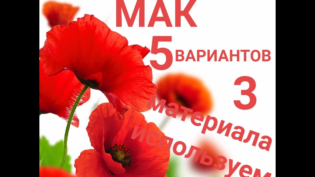 Мак из лент 5 вариантов для создания мака