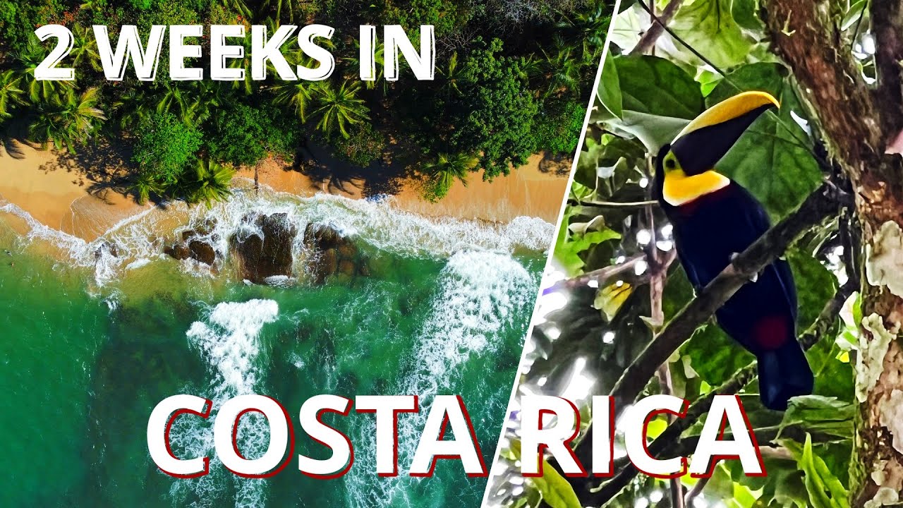 2 WEEKS IN COSTA RICA | JANUARY 2025