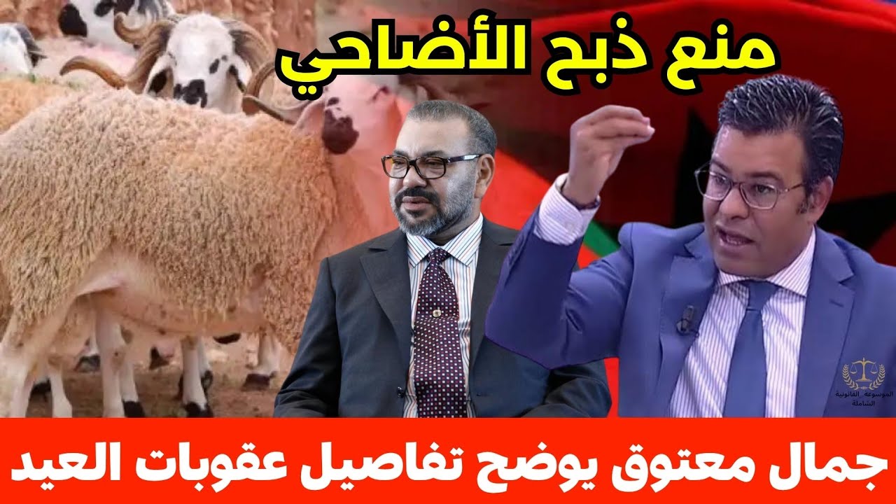 واش كاينة عقوبة للناس لغادي يدبحو الحولي نهار  العيد مع الدكتور جمال معتوق