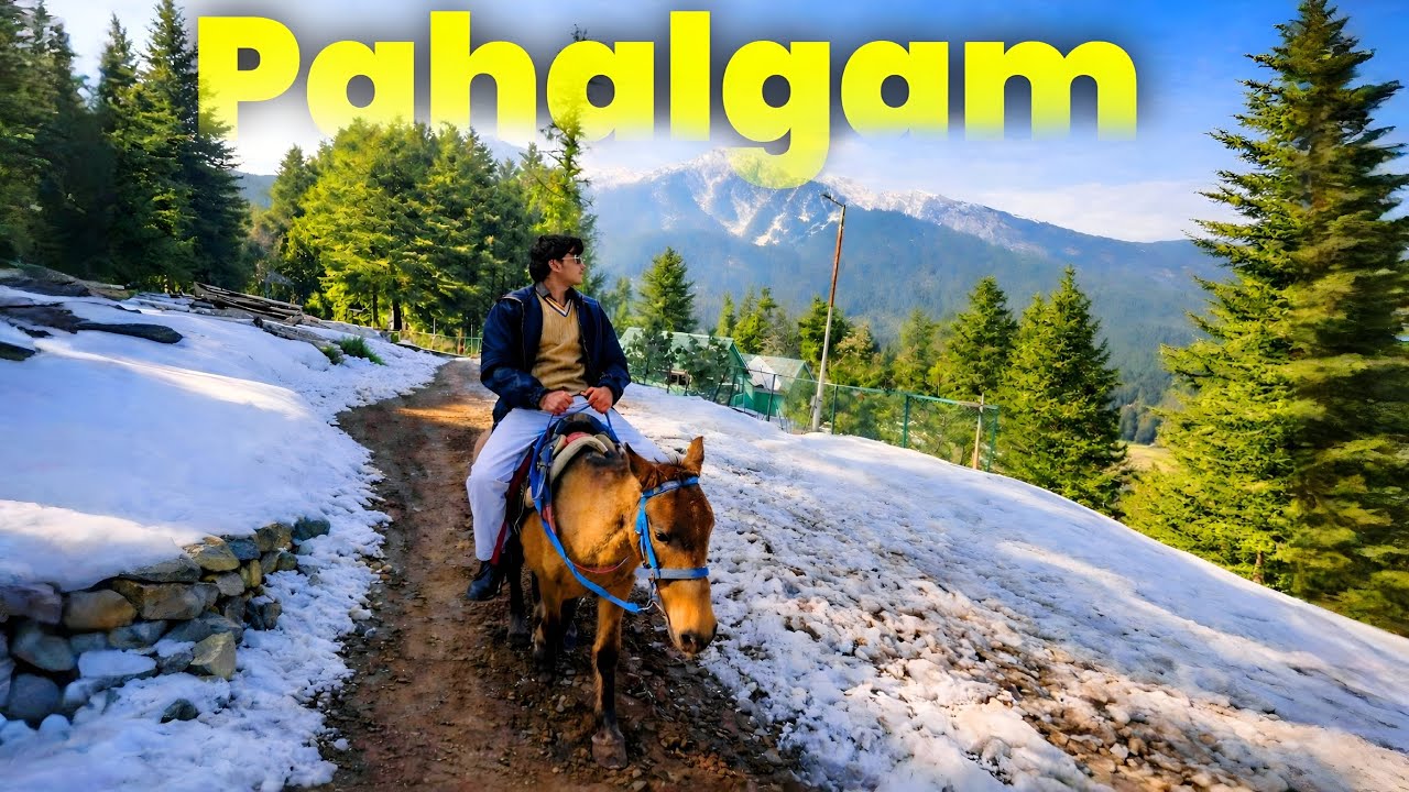 Pahalgam Vlog 🌄❄️ | Mini Switzerland Of Kashmir | Full Travel Experience