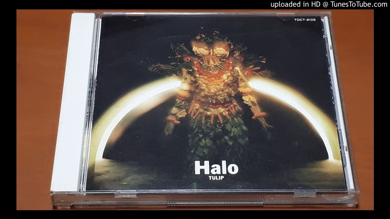 ＴＵＬＩＰ　丘に吹く風