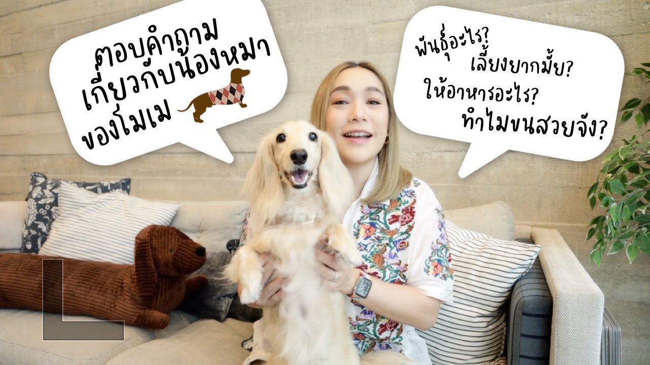 ตอบทุกคำถามเกี่ยวกับน้องหมาของโมเม พร้อมแชร์วิธีการดูแลน้องให้ขนสวยสุขภาพดีสุดๆ | DAILYCHERIE