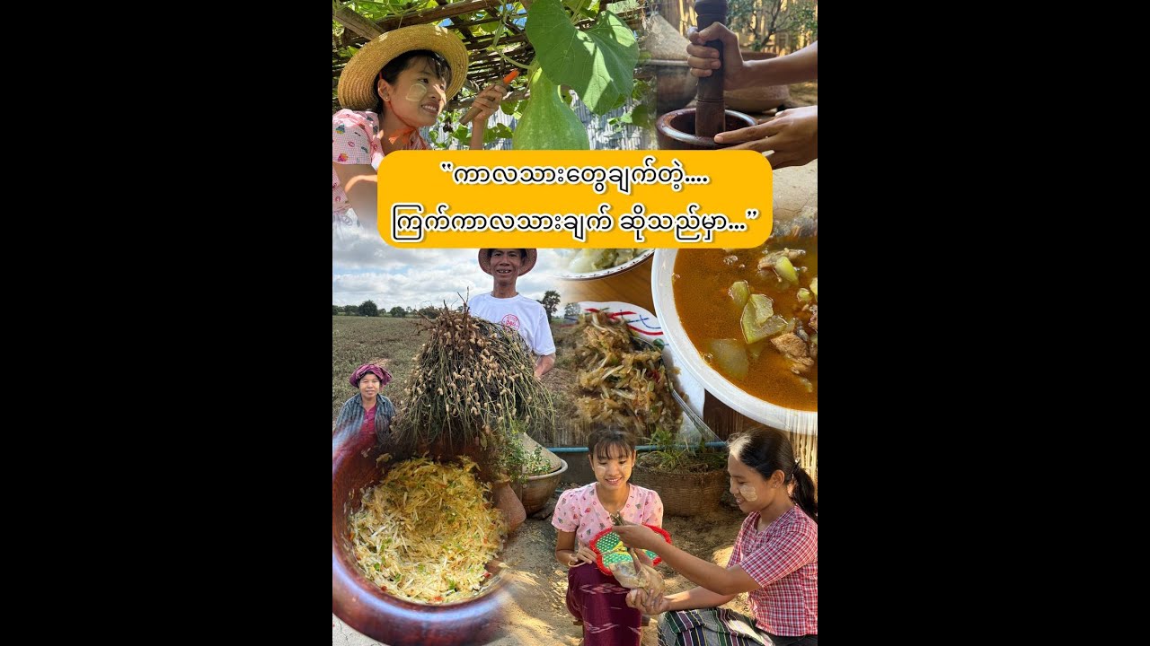 “ကြက်ကာလသားချက် ဆိုသည်မှာ…”