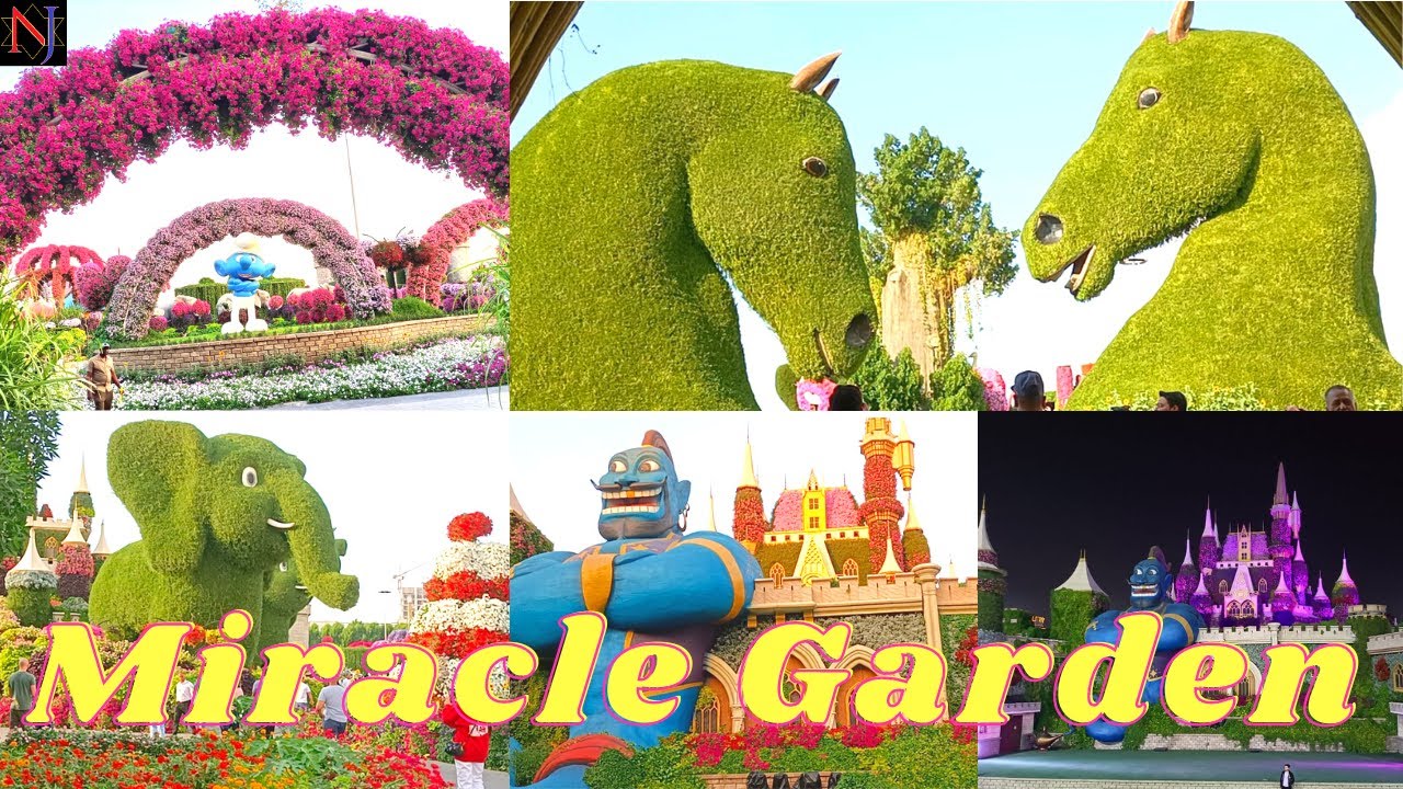Miracle Garden Dubai/മിറാക്കിൾ ഗാർഡൻ ദുബായ്/The World’s Largest Natural Flower Garden/Dubai 2022-23