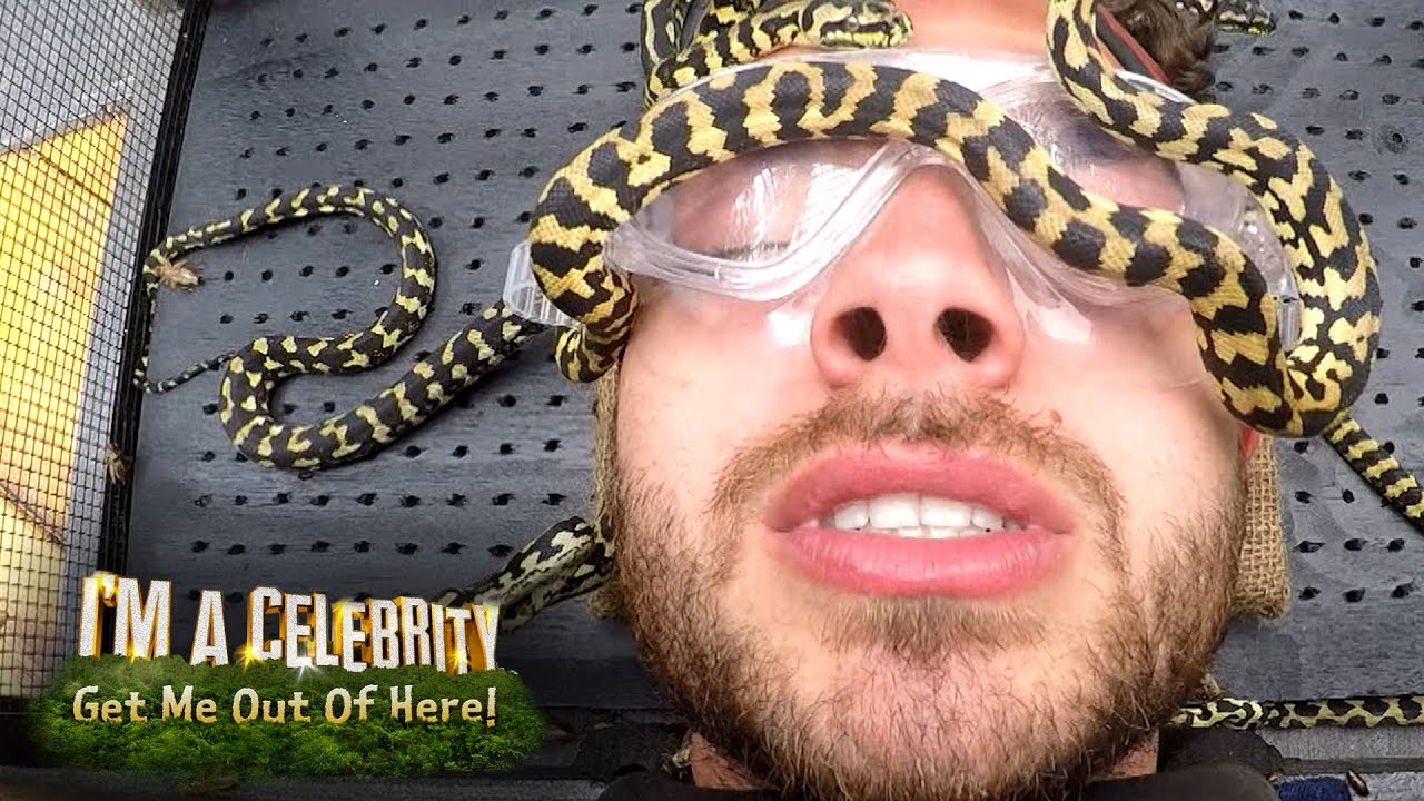 The Campmates Get Snakes Poured Over Their Heads! | I'm A Celebrity... Get Me Out Of Here!