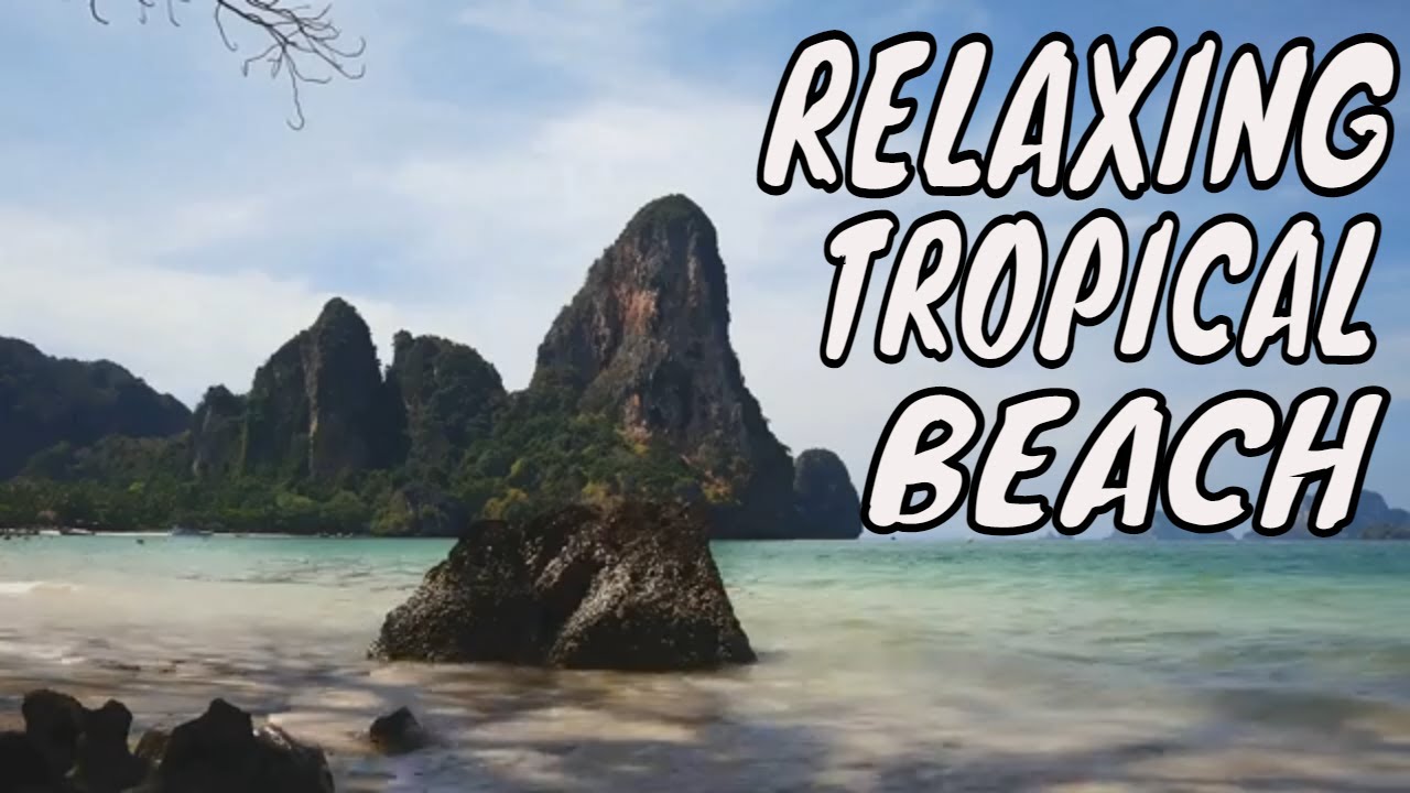Relax on a Tropical Beach for 8 Hours