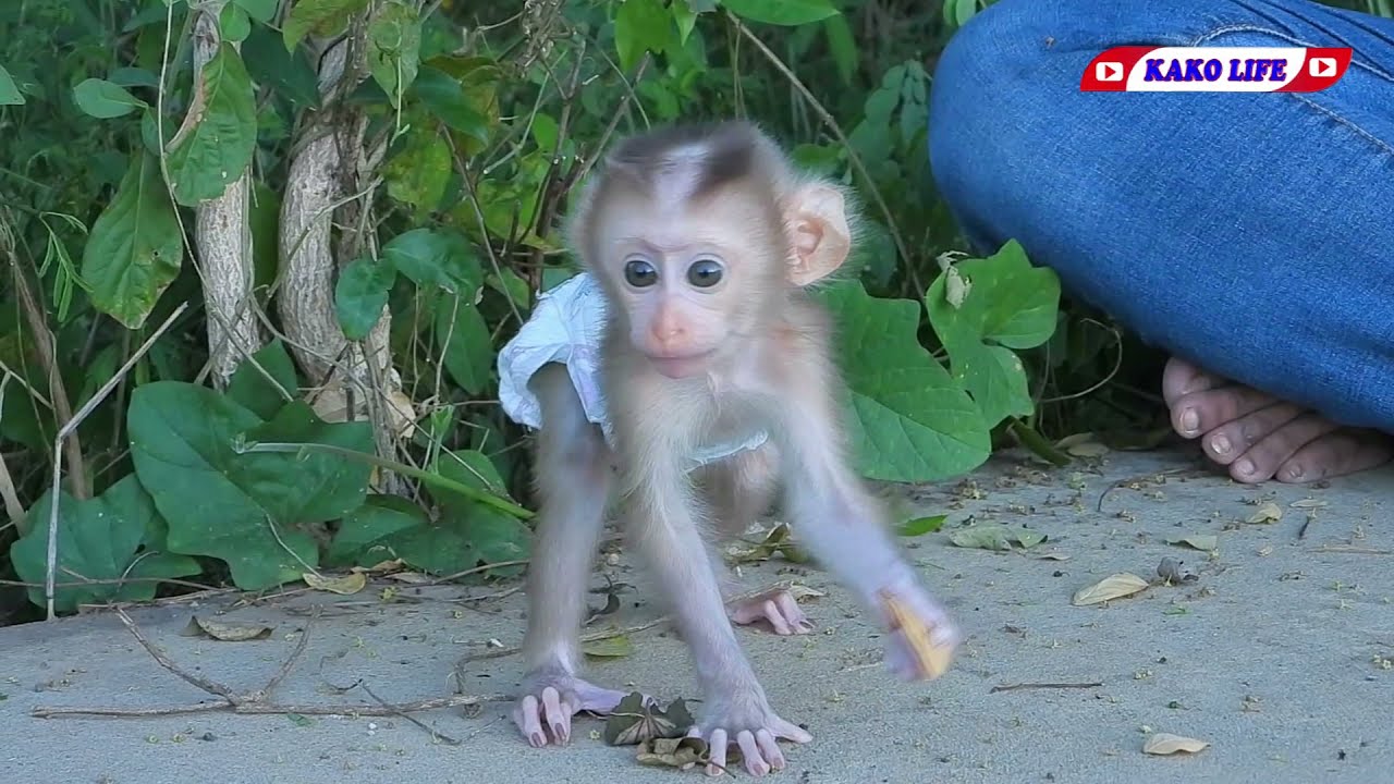 Tiny Lisa Playing And Climbing Tree
