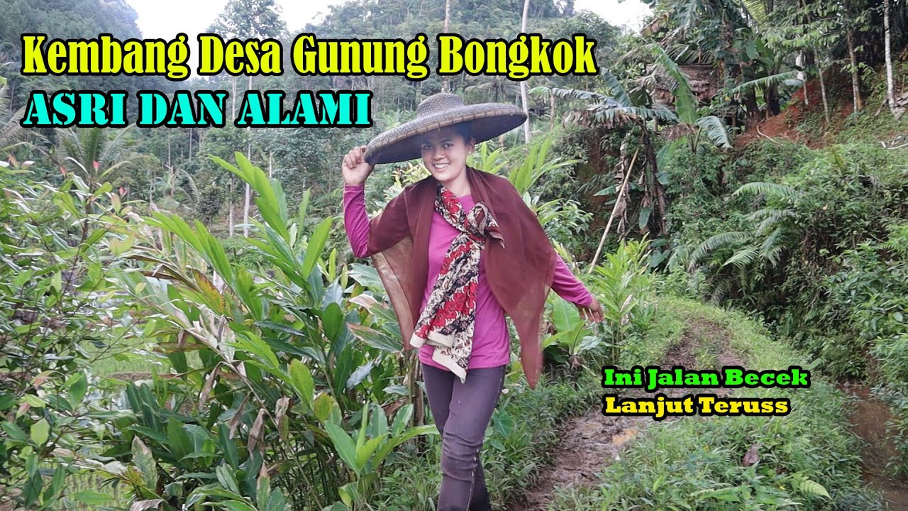Keindahan Kampung Gunung Bongkok Banten, Bikin Betah Gak Mau Pulang.