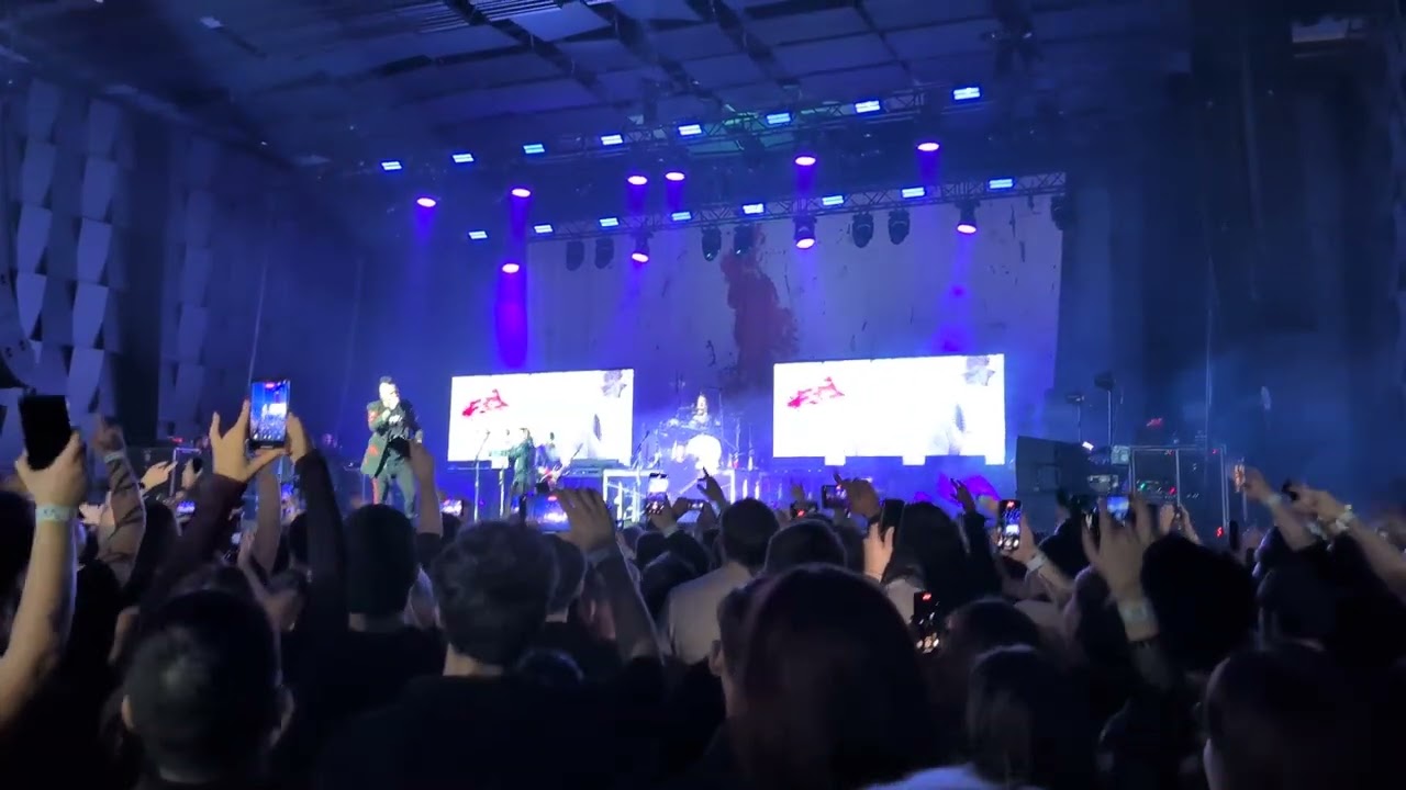 Three Days Grace - Never Too Late, LIVE, Forum Karlín