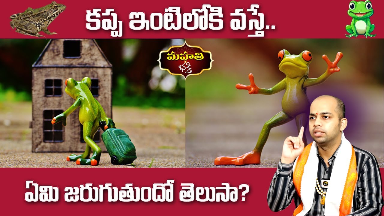 కప్ప ఇంటిలోకి వస్తే.. ఏమి జరుగుతుందో తెలుసా? ||  Astrologer Avinash Das || Mahathi Bhakthi
