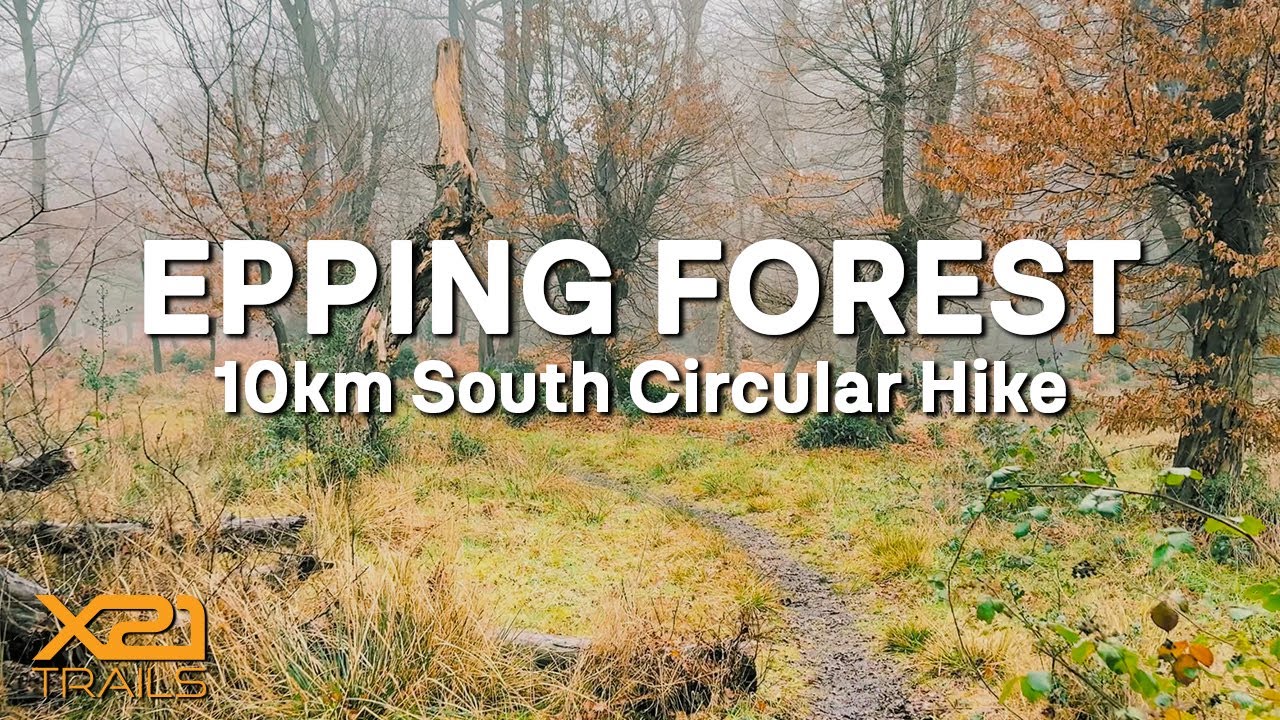 A Foggy Winter Hike in the Lungs of London to Find the Famous Oyster Shack | Epping Forest Walk FPV