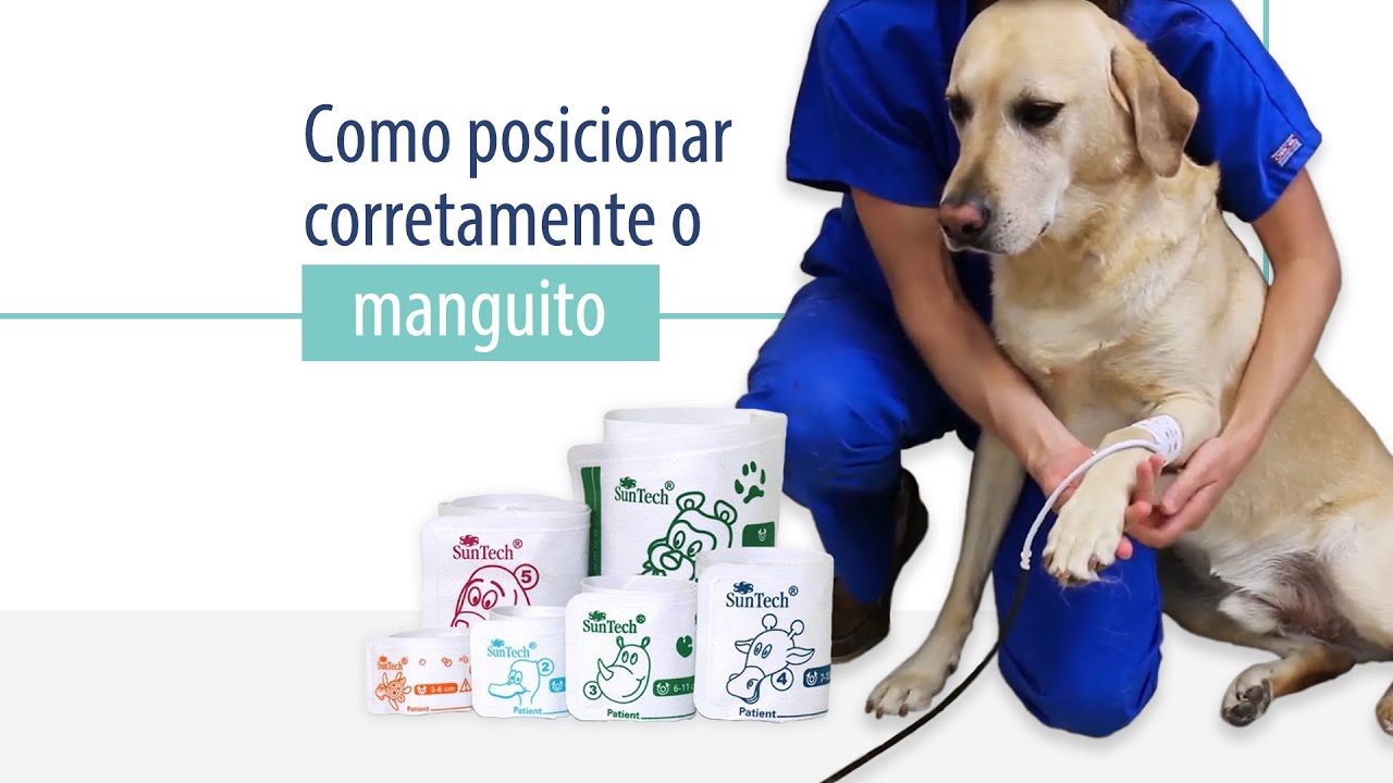 Como posicionar corretamente o manguito.